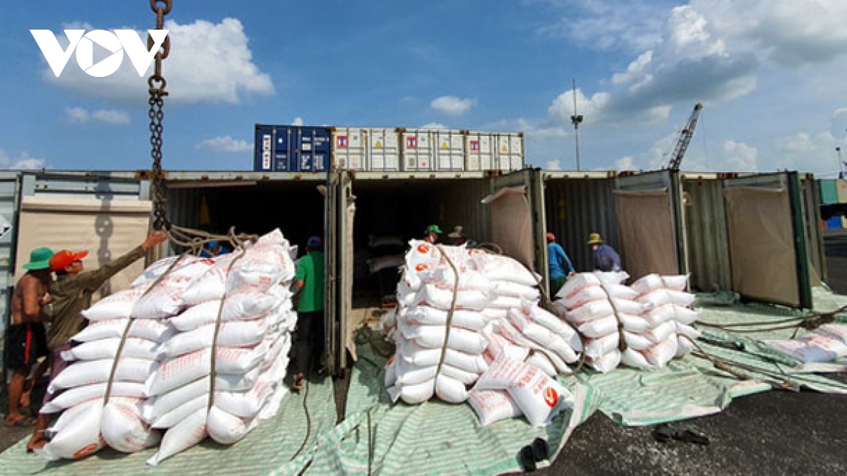 Rice export volume hits more than 8 million tonnes in 2023
